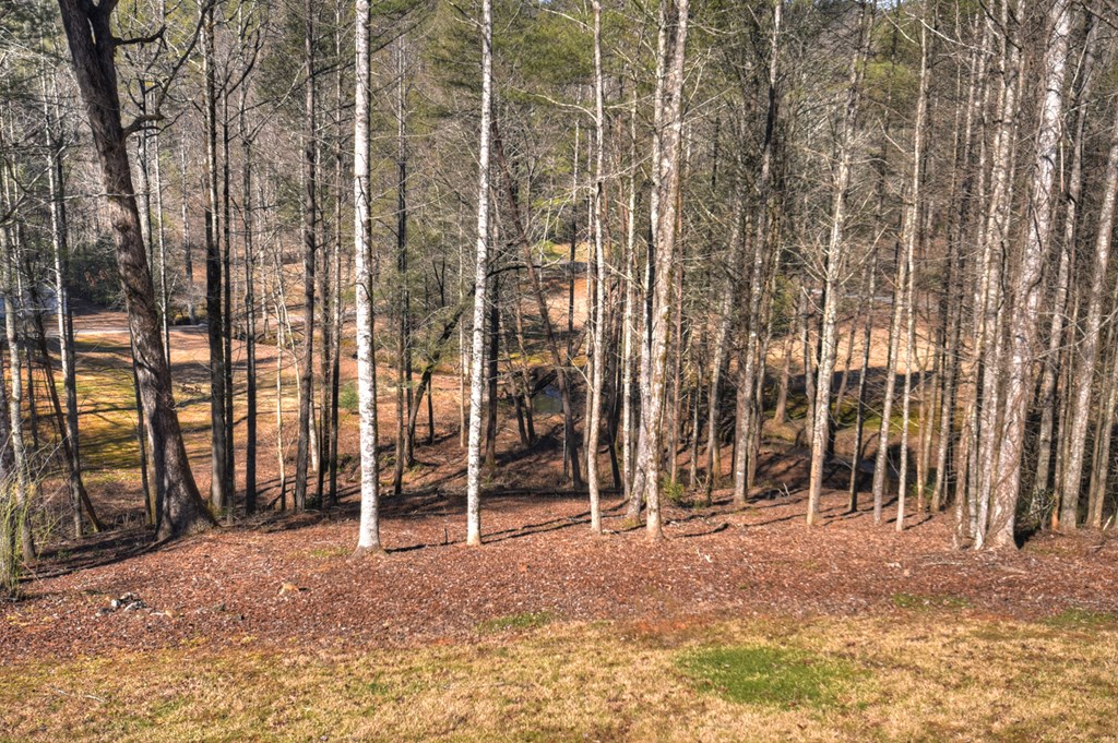 7233 Shakerag Road Ellijay, GA 30540 - Photo 107 of 117 a view of a backyard of the house