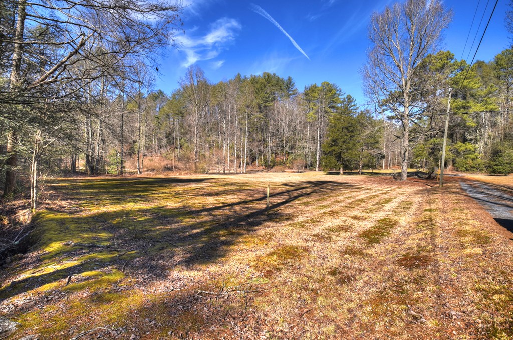 7233 Shakerag Road Ellijay, GA 30540 - Photo 115 of 117 a view of outdoor space with trees all around
