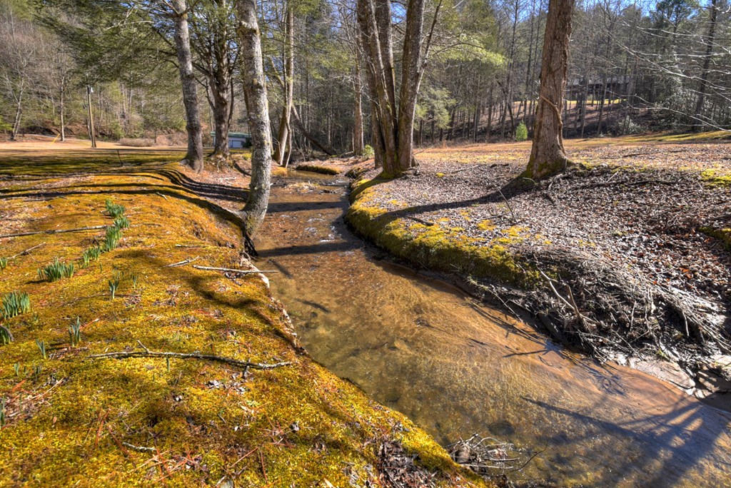 7233 Shakerag Road Ellijay, GA 30540 - Photo 116 of 117