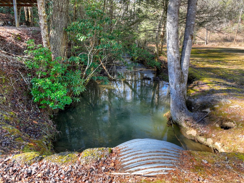 7233 Shakerag Road Ellijay, GA 30540 - Photo 2 of 117 a view of swimming pool from a lake view