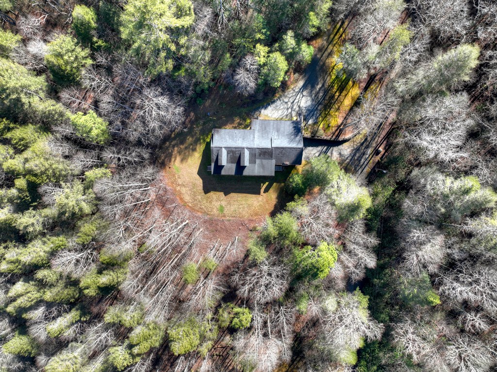 7233 Shakerag Road Ellijay, GA 30540 - Photo 46 of 117