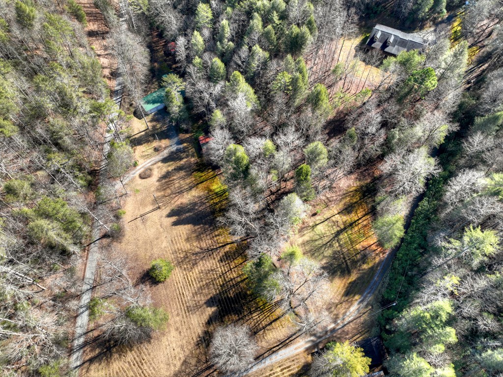 7233 Shakerag Road Ellijay, GA 30540 - Photo 47 of 117