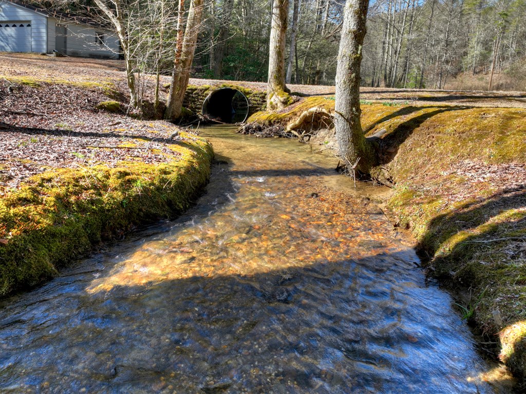 7233 Shakerag Road Ellijay, GA 30540 - Photo 5 of 117