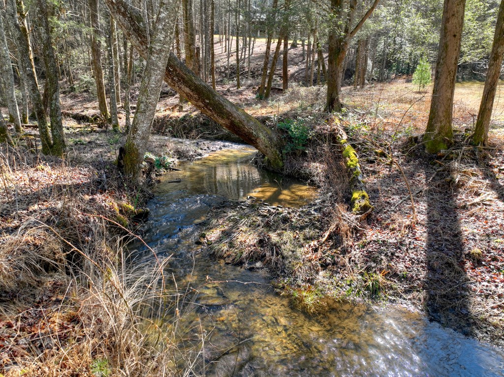 7233 Shakerag Road Ellijay, GA 30540 - Photo 52 of 117