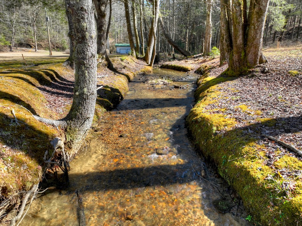 7233 Shakerag Road Ellijay, GA 30540 - Photo 62 of 117
