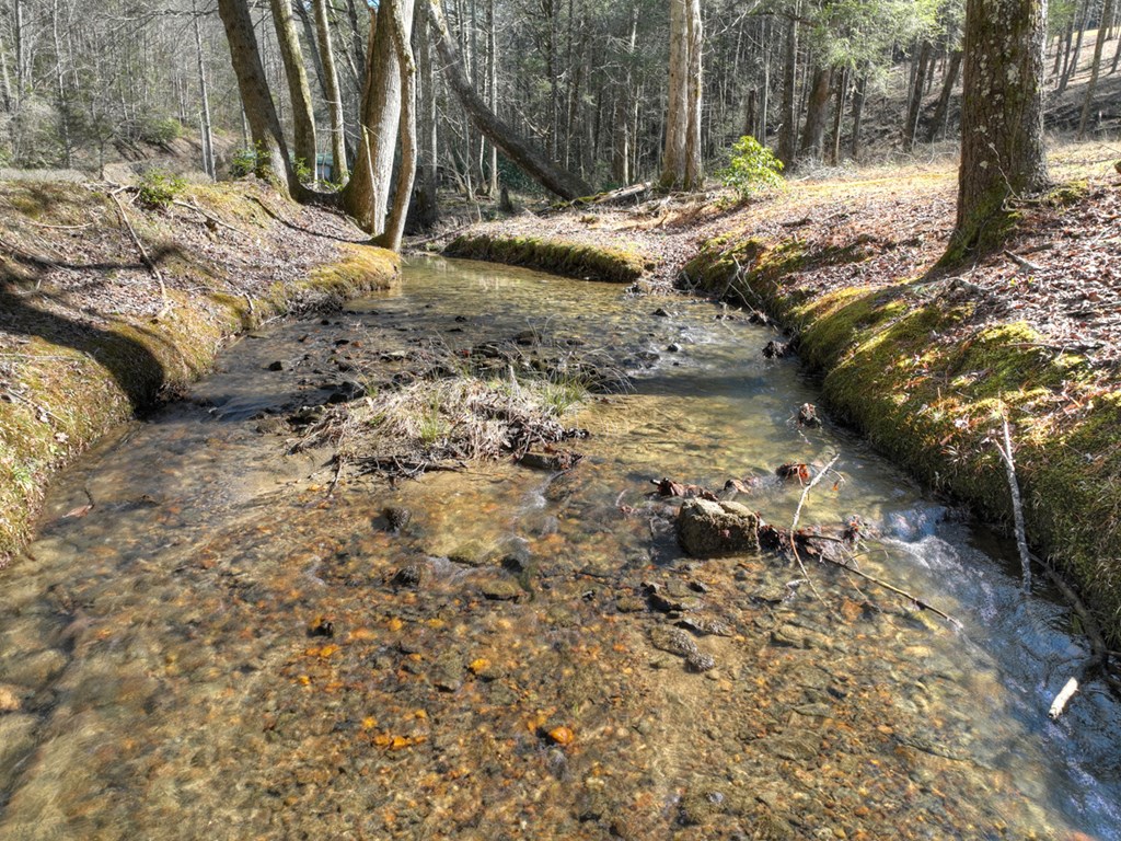 7233 Shakerag Road Ellijay, GA 30540 - Photo 91 of 117
