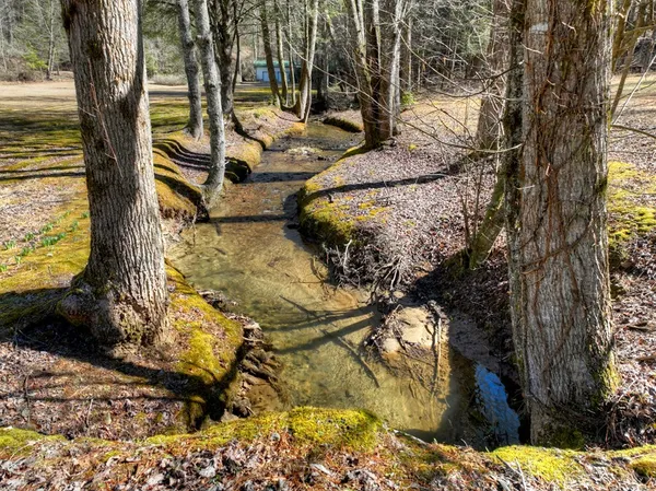 $825,000 | 7233 Shakerag Road, Ellijay, GA 30540