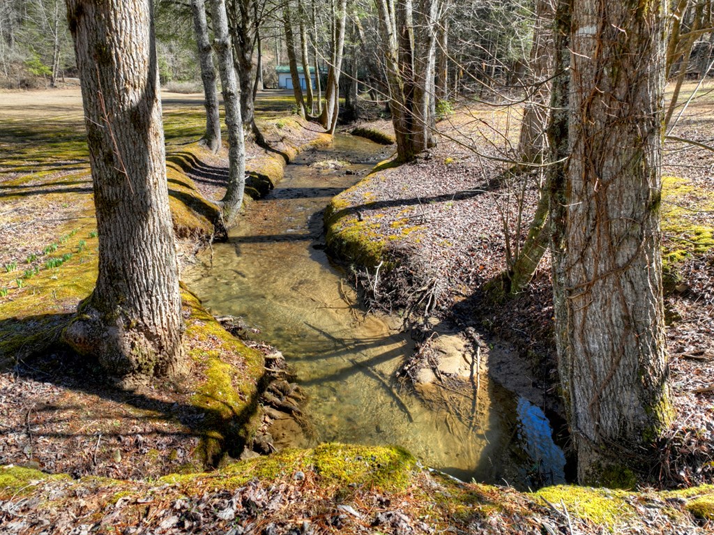 7233 Shakerag Road Ellijay, GA 30540 - Photo 92 of 117