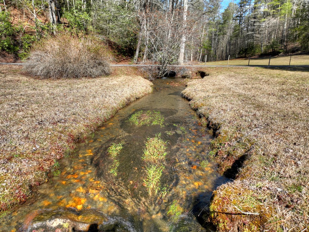 7233 Shakerag Road Ellijay, GA 30540 - Photo 93 of 117