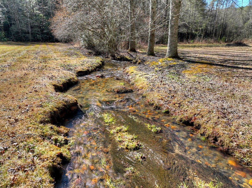 7233 Shakerag Road Ellijay, GA 30540 - Photo 94 of 117 a view of a yard with wooden fence