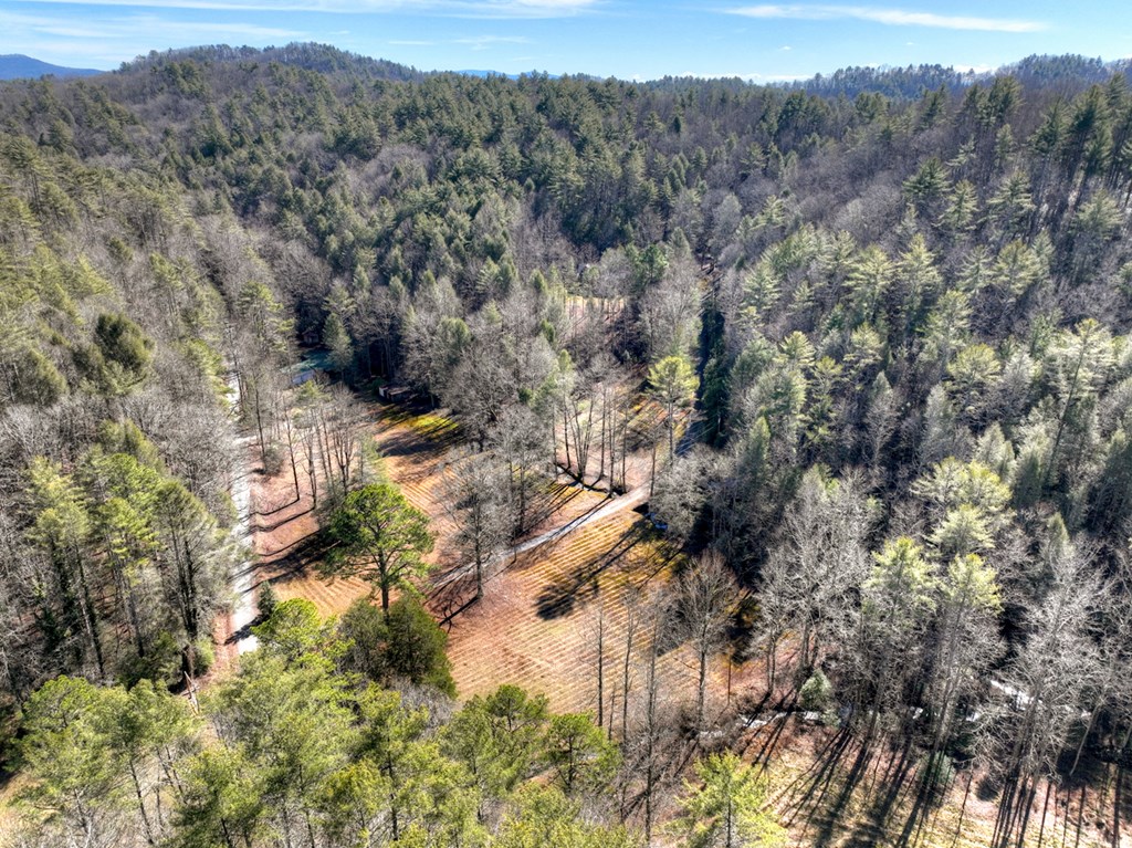 7233 Shakerag Road Ellijay, GA 30540 - Photo 96 of 117