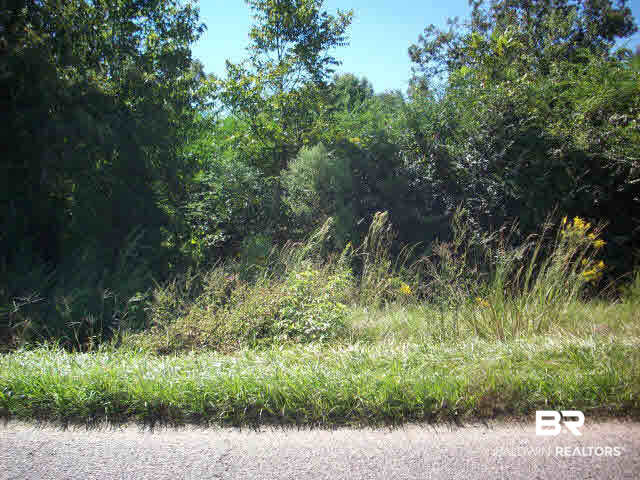Lot 43 Woods Road Atmore, AL 36502 - Photo 6 of 8