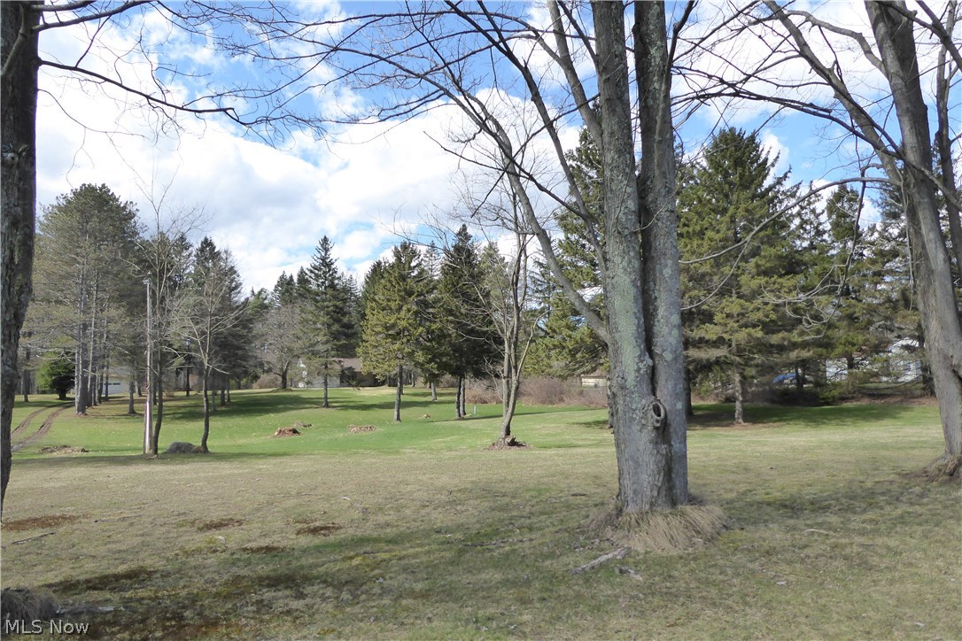 12964 Sperry Road Chesterland, OH 44026 - Photo 23 of 23 Another View from Sperry Road. Home to be Sold As Is.