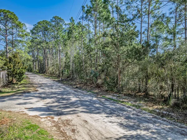 $95,000 | Lot 4 Chattahoochee Street, Panacea, FL 32346