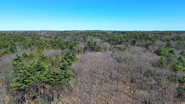 a view of a field of grass and trees