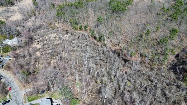 a view of a dry yard with trees all around