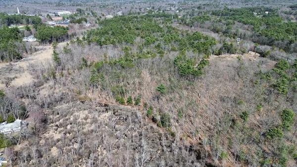 a view of a forest with trees