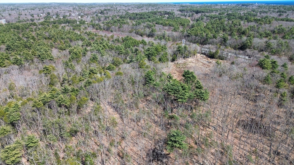 128 Boulder Lane Beverly, MA 01915 - Photo 7 of 12 view of a forest with lots of trees