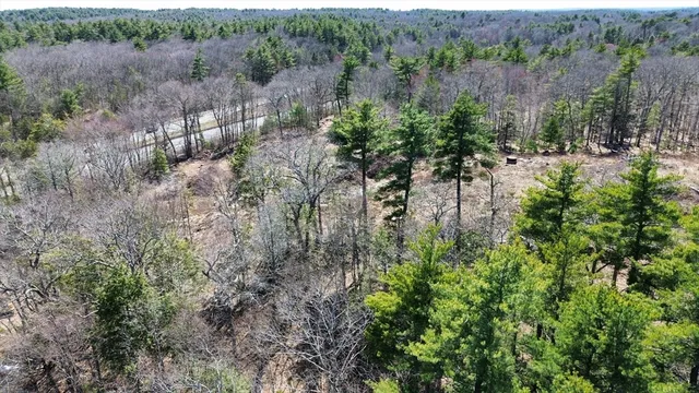 a view of a lush green forest with houses