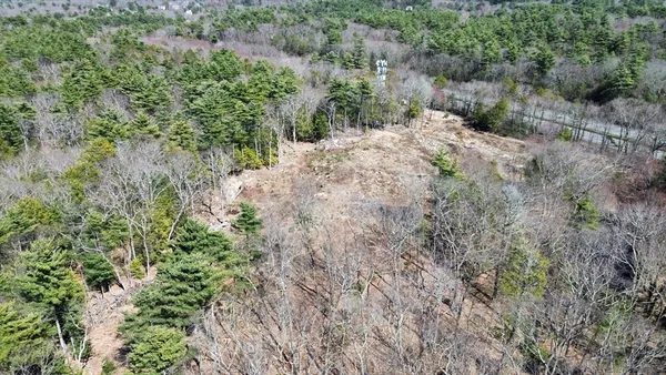a view of a forest with trees in all around