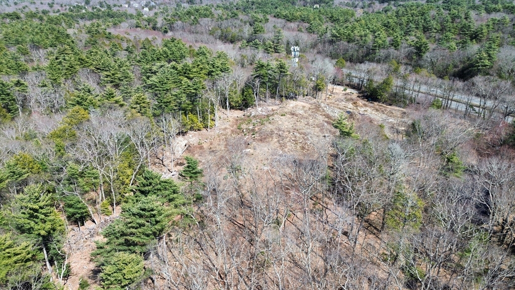 128 Boulder Lane Beverly, MA 01915 - Photo 9 of 12 a view of a forest with trees in all around