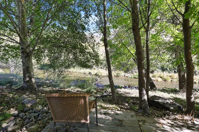 a view of outdoor space with lots of trees