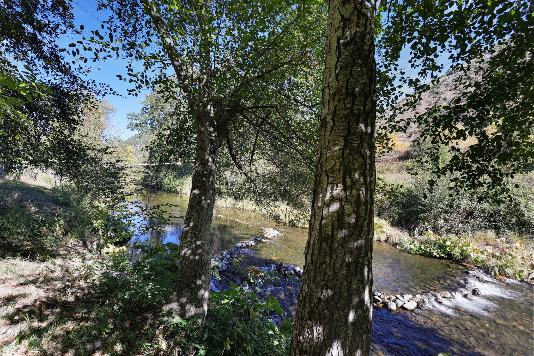 14207 Main Street French Gulch, CA 96033 - Photo 29 of 38