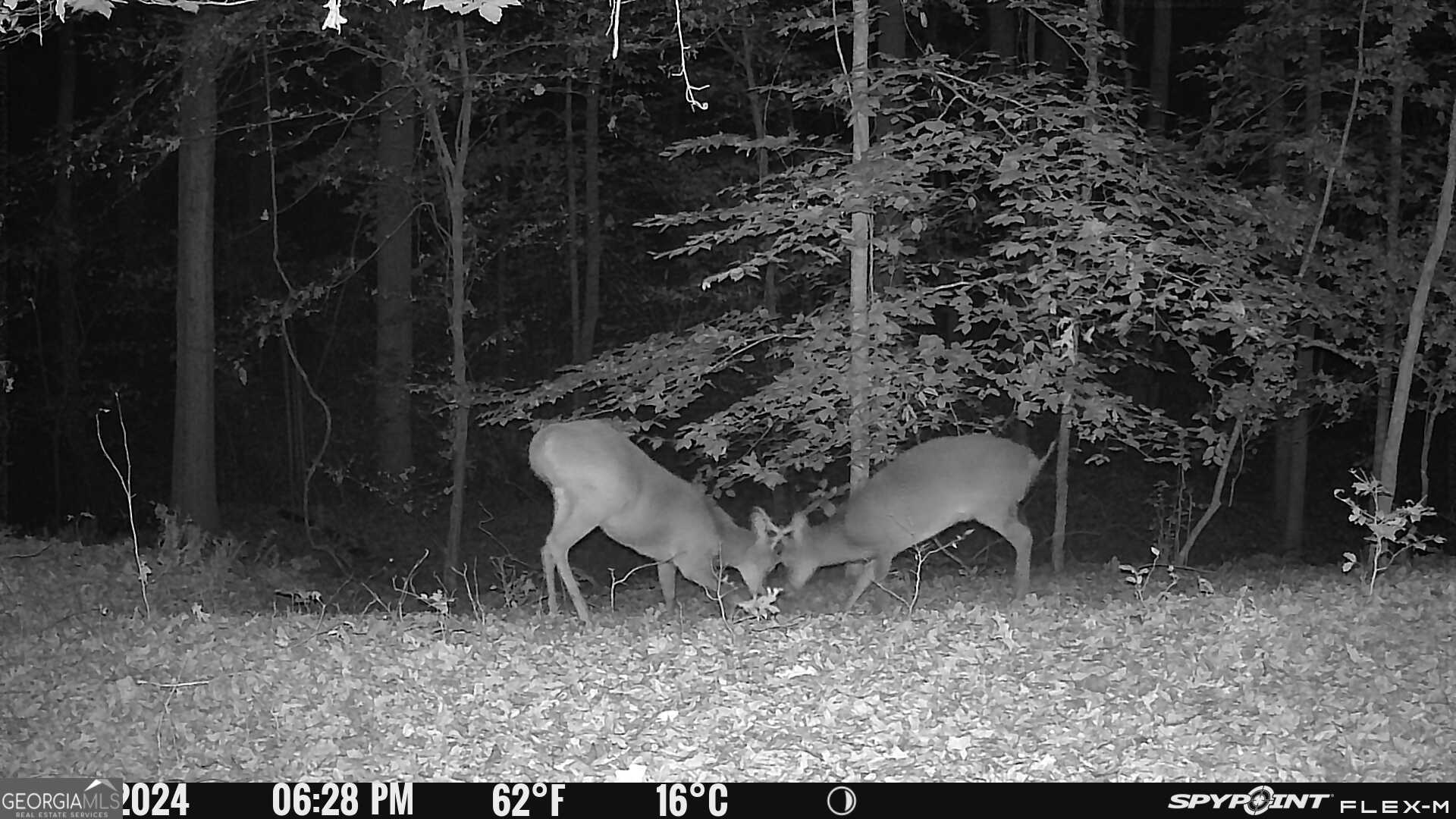 1590 James Adams Road Danielsville, GA 30633 - Photo 25 of 98