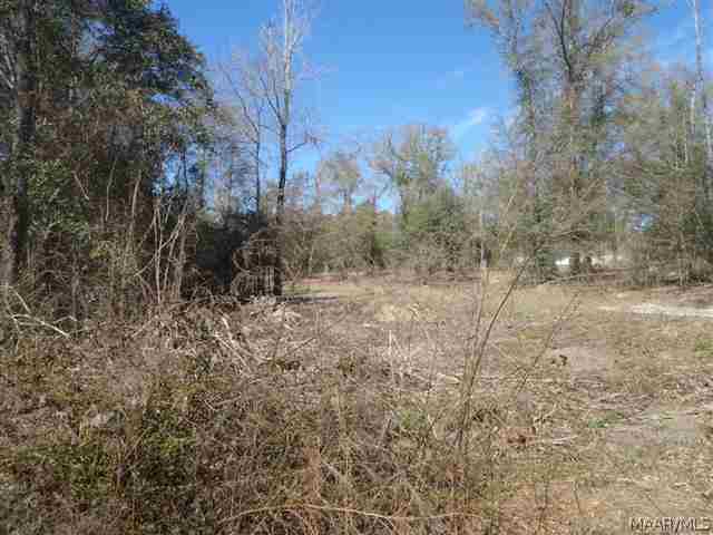 2265 Dean Church Road Ozark, AL 36360 - Photo 6 of 14 Gallery Image 6