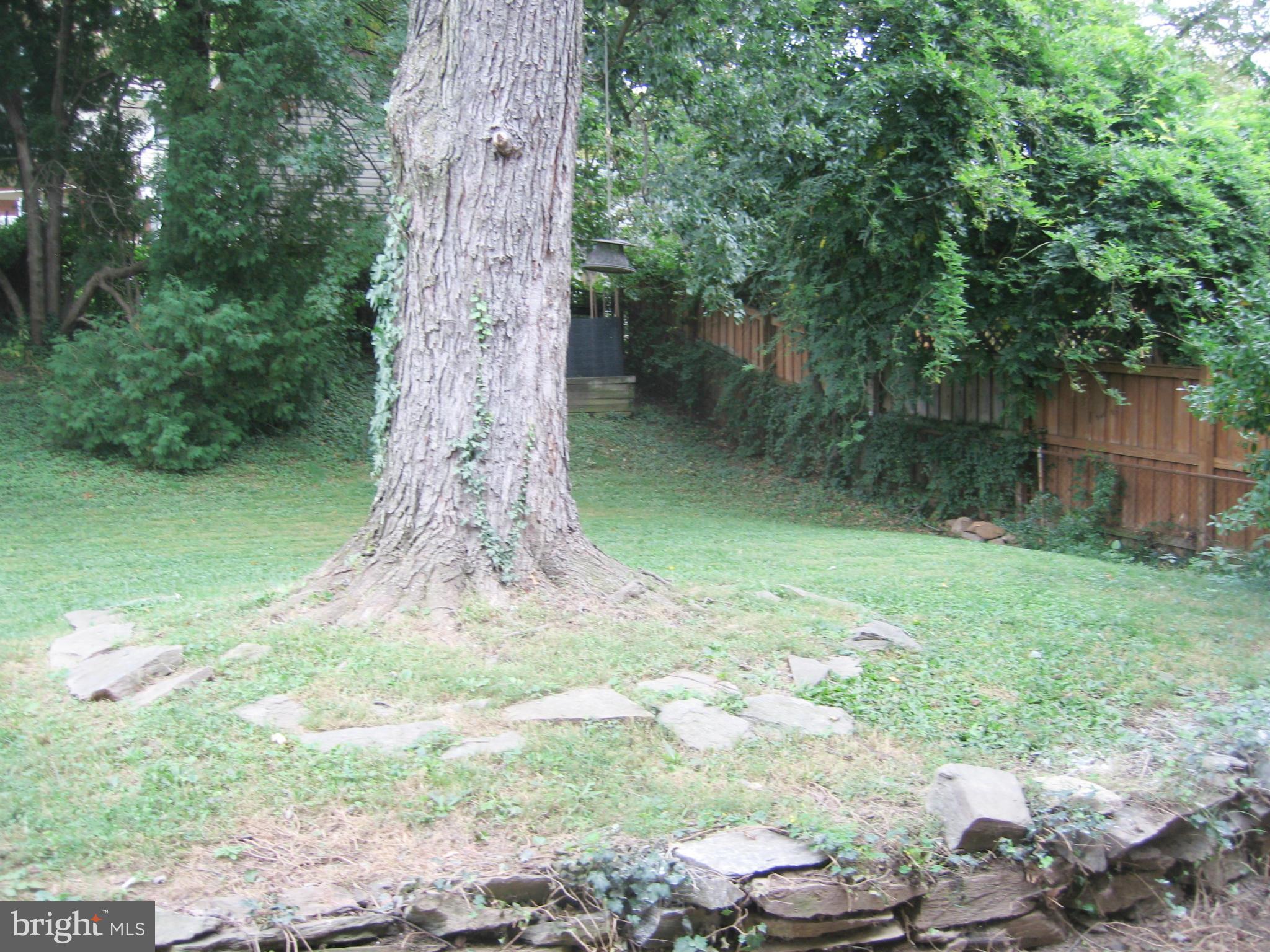 12805 Crisfield Road Silver Spring, MD 20906 - Photo 23 of 24 Exterior (Rear)