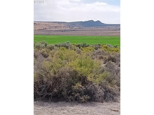 $58,000 | Old Lake Road, Christmas Valley, OR 97641