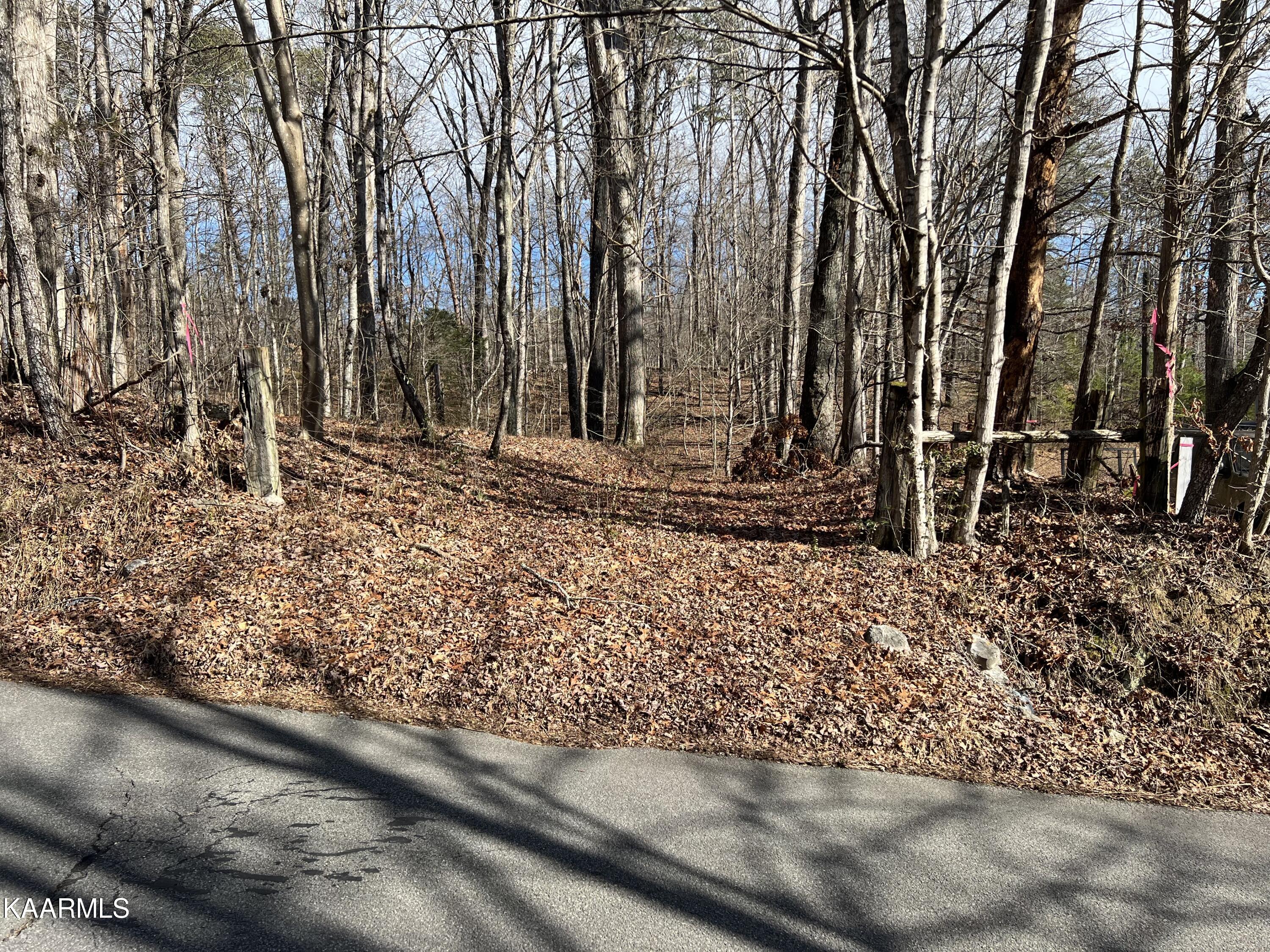 Pleasant View Loop Clinton, TN 37716 - Photo 6 of 6 IMG_4054