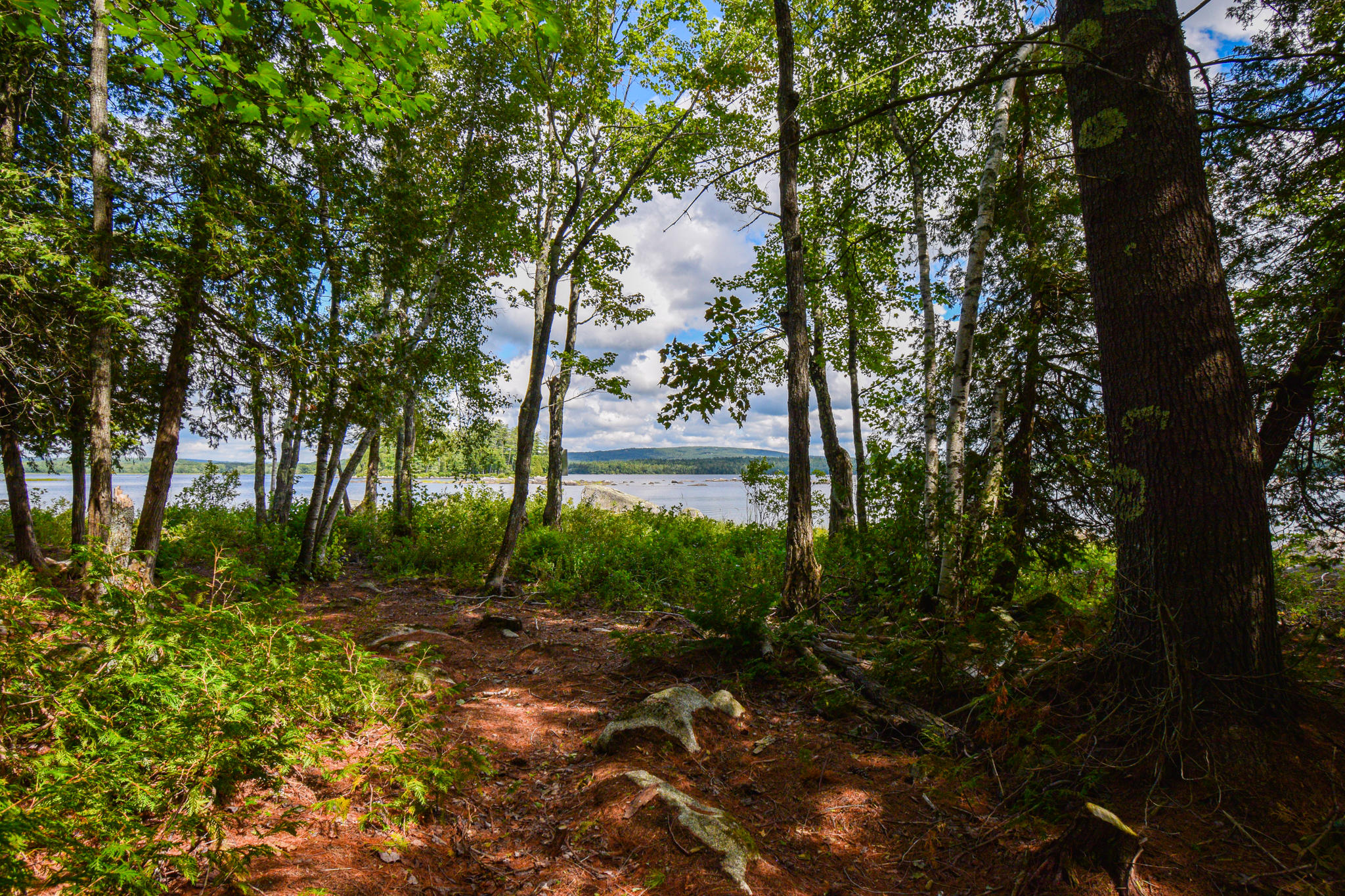 0 Old Ferry Road Hartland, ME 04943 - Photo 9 of 21 DSC_2540