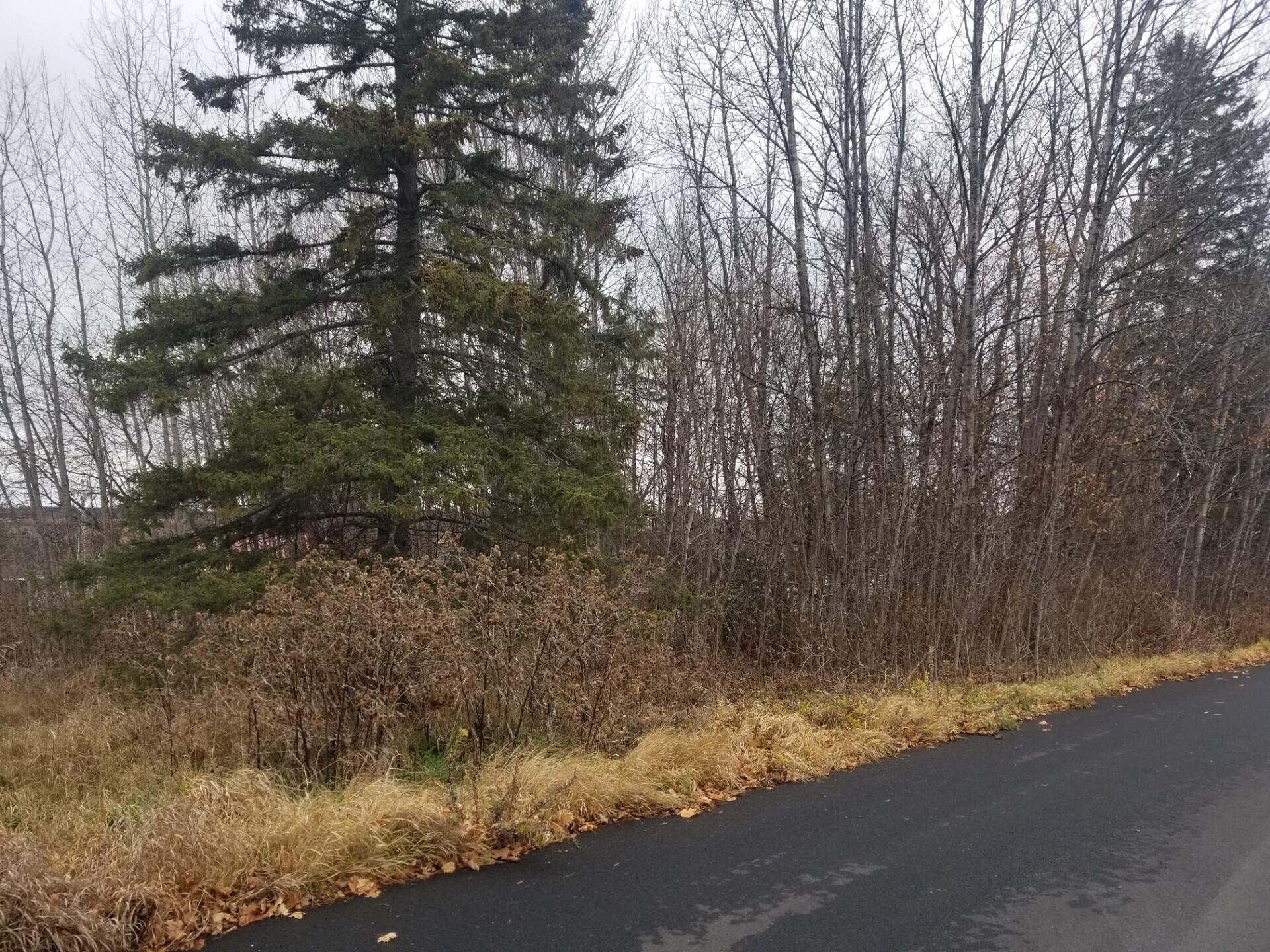 10 Webster Avenue Limestone, ME 04750 - Photo 4 of 4