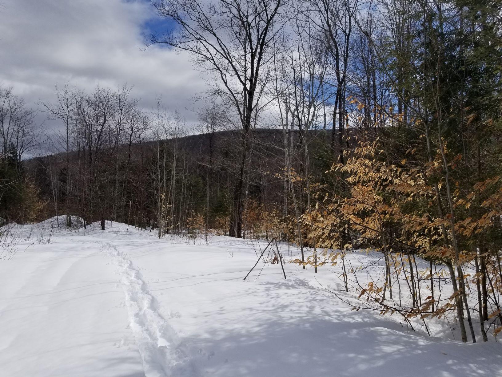 0 Rangeley Road Avon, ME 04966 - Photo 55 of 62 View 2