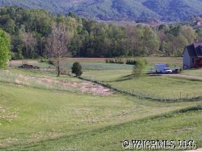 3 Riel Valley Drive Leicester, NC 28748 - Photo 2 of 8 Gallery Image 2