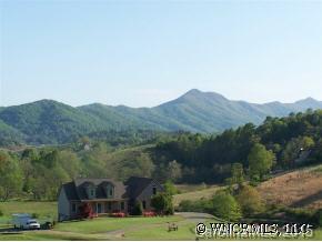 3 Riel Valley Drive Leicester, NC 28748 - Photo 3 of 8 Gallery Image 3