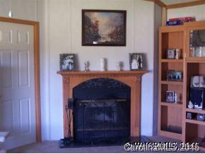 3 Riel Valley Drive Leicester, NC 28748 - Photo 4 of 8 Gallery Image 4
