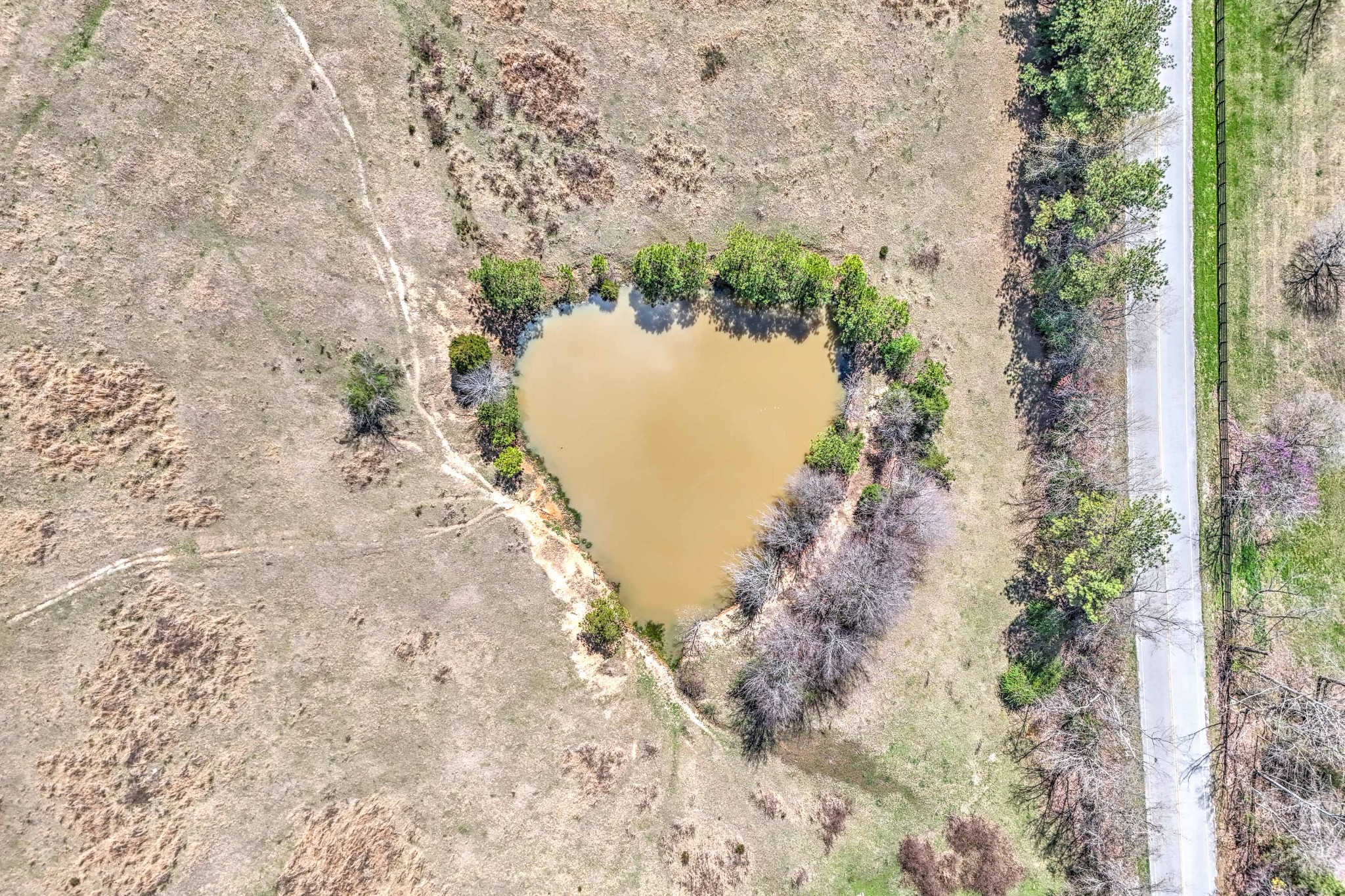 0 Bradford Road Primm Springs, TN 38476 - Photo 13 of 28 a view of a lake with lots of trees