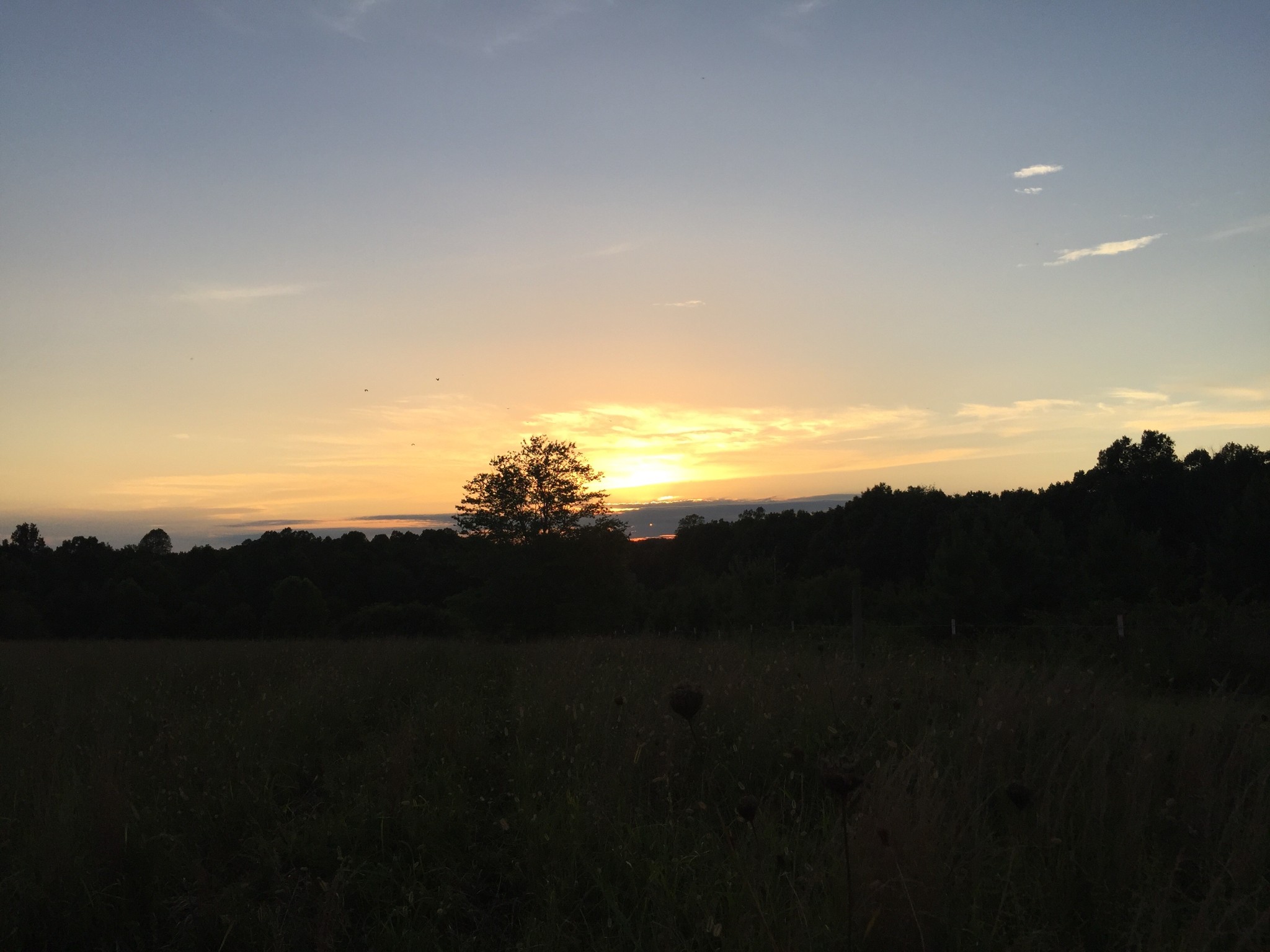 0 Bradford Road Primm Springs, TN 38476 - Photo 24 of 28 a view of sunset and green space