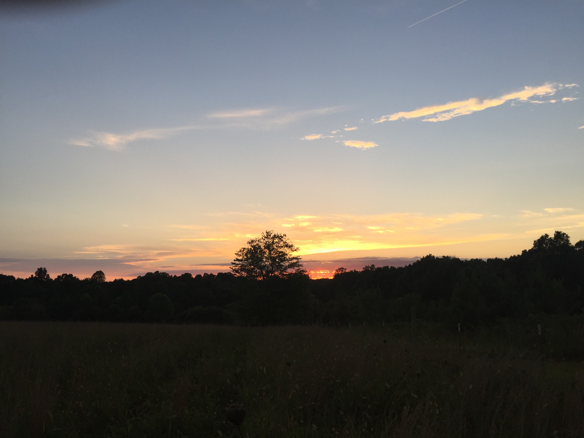 0 Bradford Road Primm Springs, TN 38476 - Photo 25 of 28 a view of ocean and mountain
