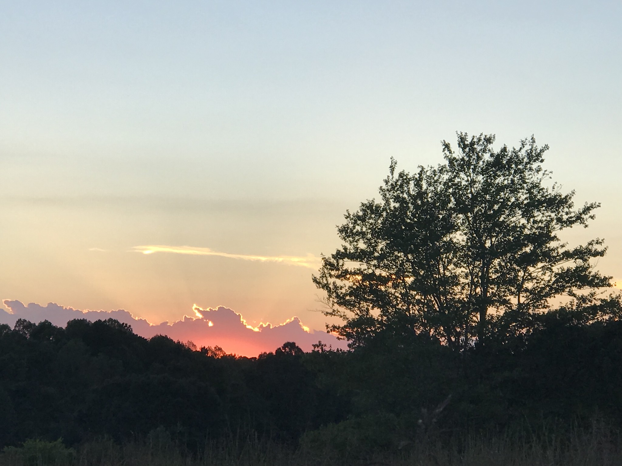 0 Bradford Road Primm Springs, TN 38476 - Photo 26 of 28