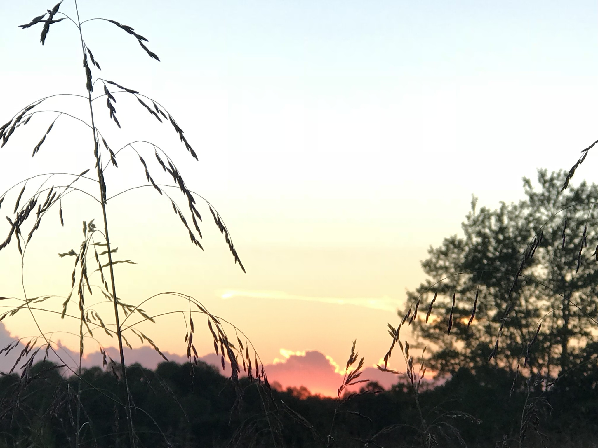 0 Bradford Road Primm Springs, TN 38476 - Photo 27 of 28