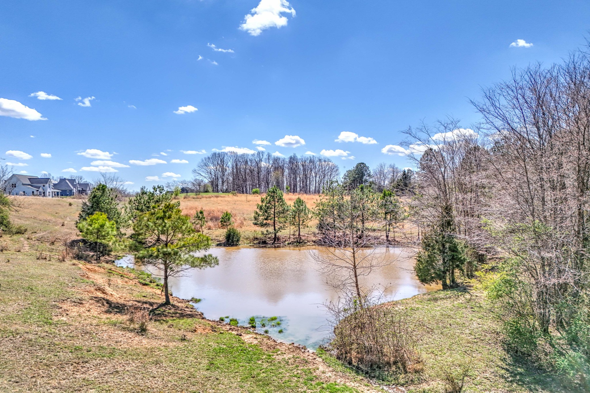 0 Bradford Road Primm Springs, TN 38476 - Photo 4 of 28 a view of a yard with an outdoor space