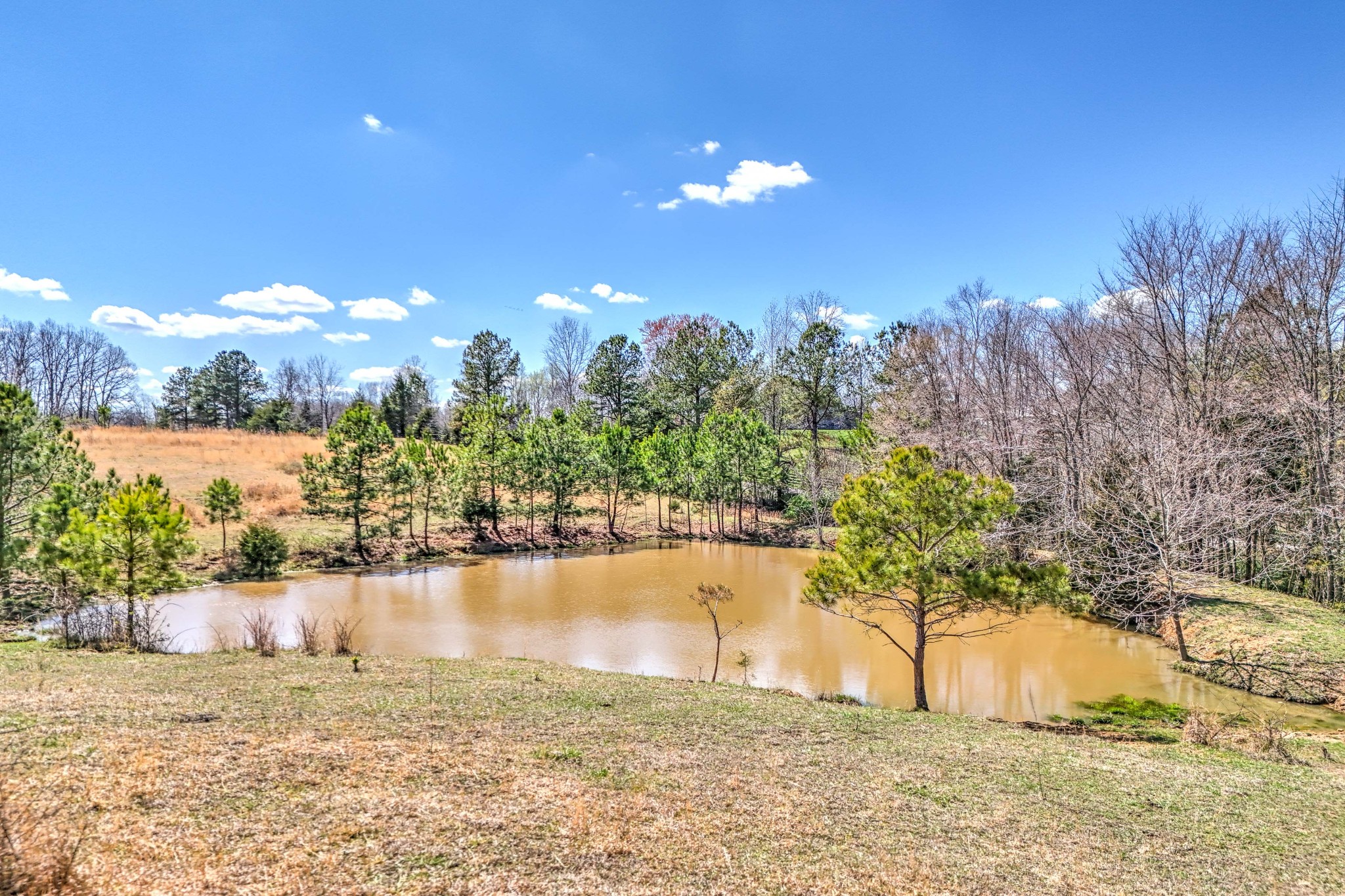 0 Bradford Road Primm Springs, TN 38476 - Photo 5 of 28 a view of lake view with mountain in the background