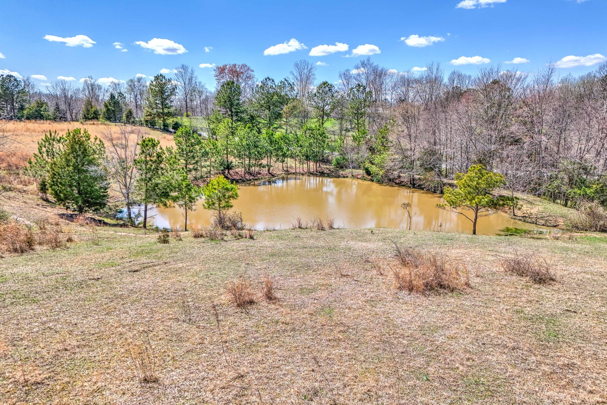 0 Bradford Road Primm Springs, TN 38476 - Photo 6 of 28 a view of a yard with a house