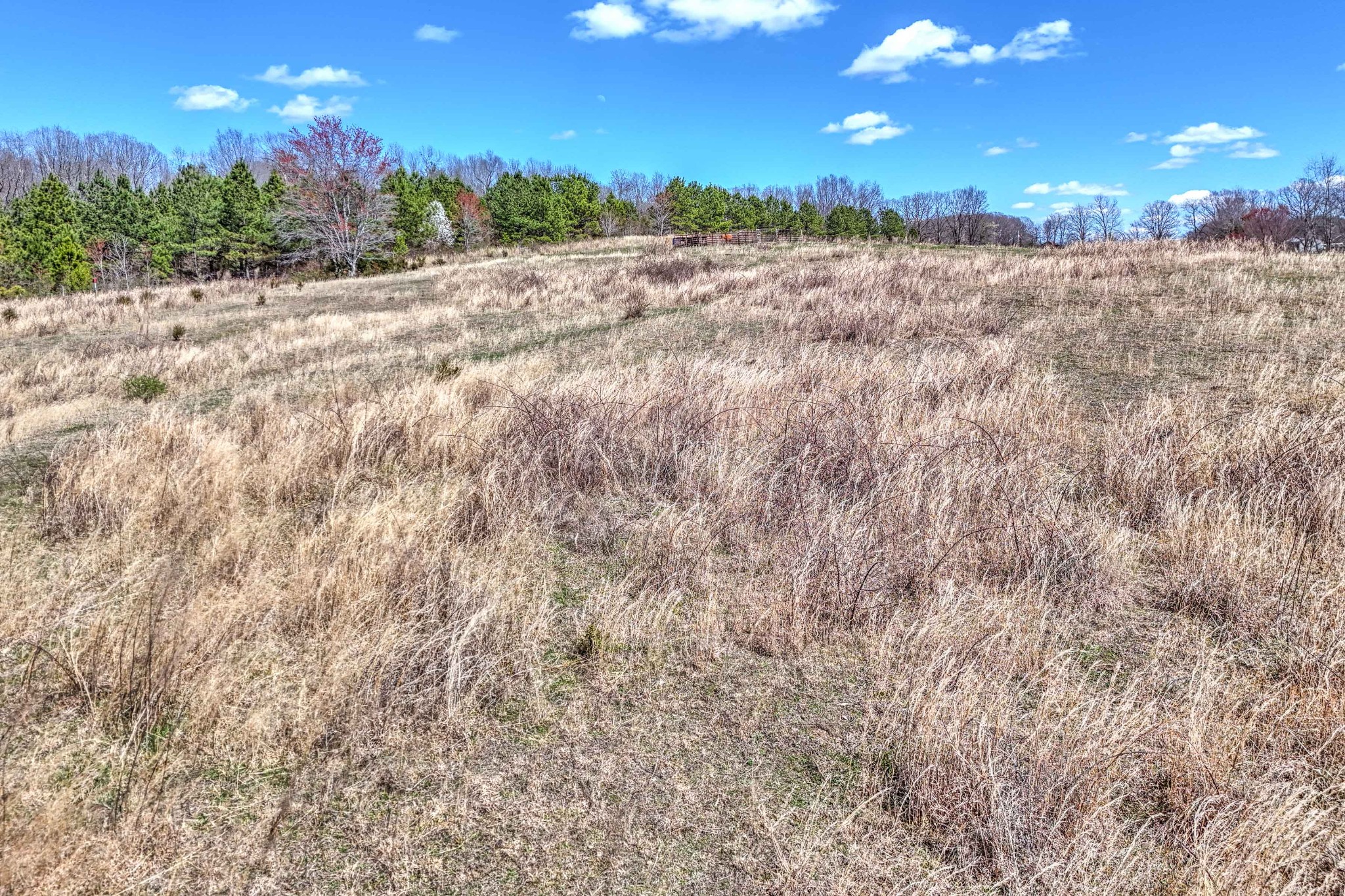 0 Bradford Road Primm Springs, TN 38476 - Photo 8 of 28 a view of a big yard