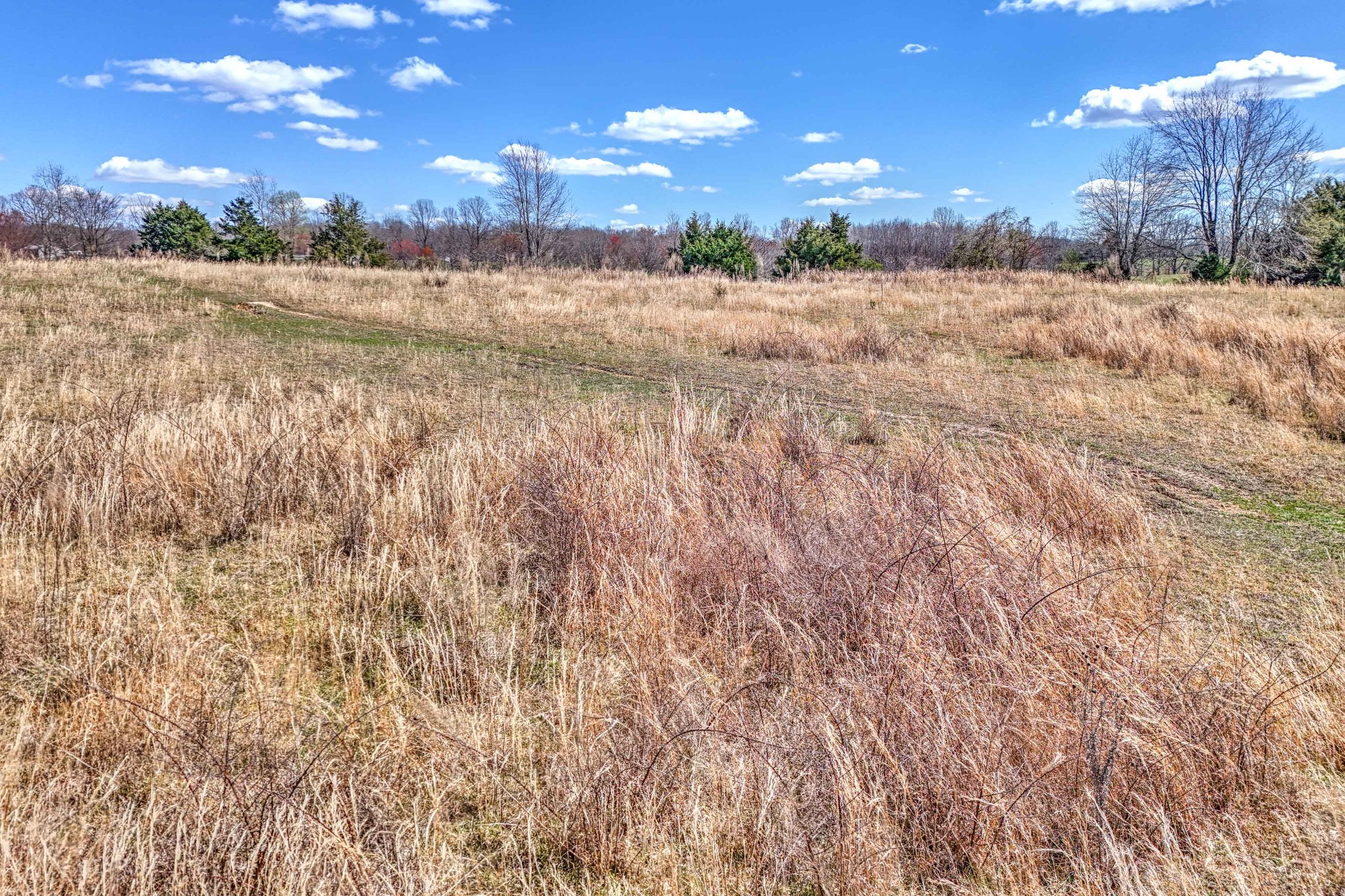 0 Bradford Road Primm Springs, TN 38476 - Photo 9 of 28 a view of a snow with a yard