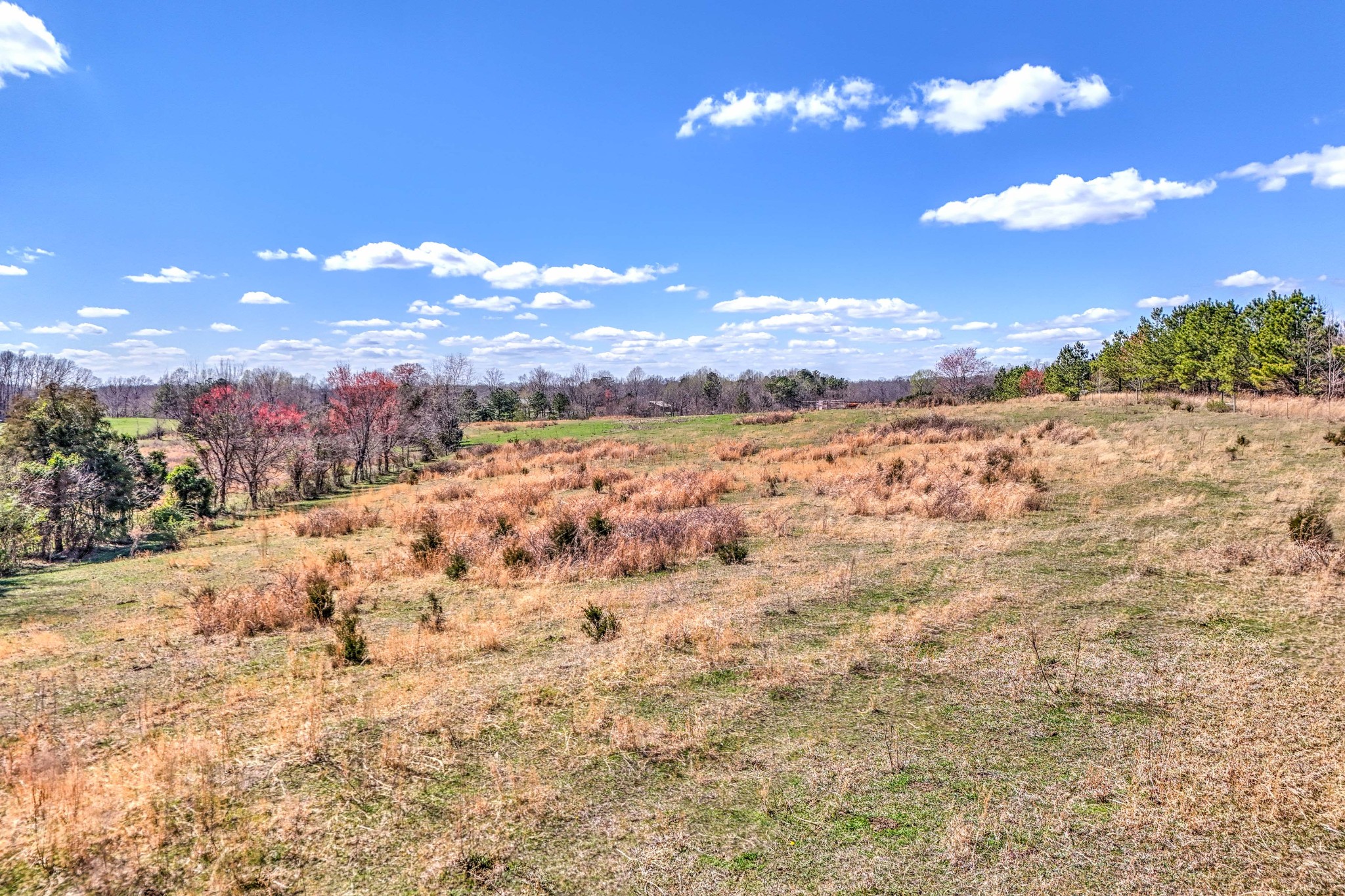 0 Bradford Road Primm Springs, TN 38476 - Photo 10 of 28 a view of a yard with mountains in the background