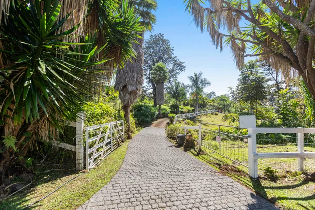 a view of a yard with plants